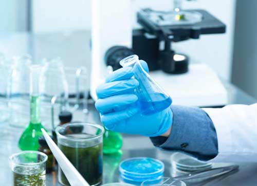 Analytical Services